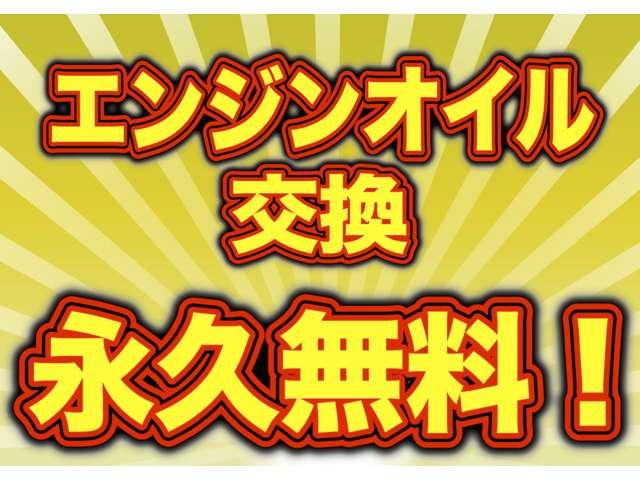ブラック&ホワイトII 内装ブラックホワイト ナビ TV スマートキー2個 両側電動スライド バックカメラ(3枚目)