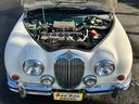 MITSUOKA VIEWT