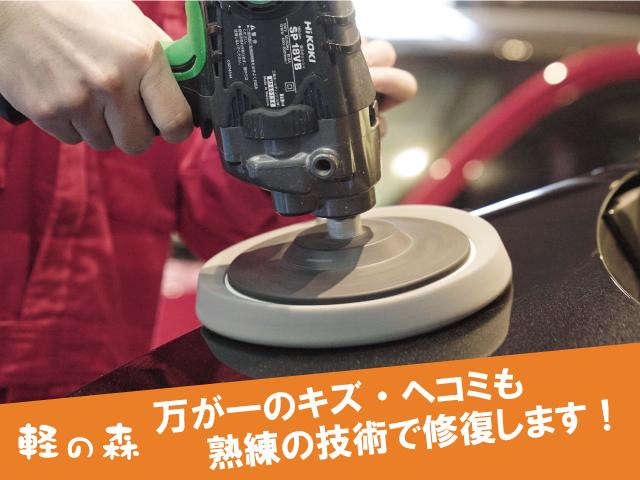 L 軽自動車 衝突被害軽減ブレーキ 後退時ブレーキサポート キーレスエントリー シートヒーター CDプレーヤー パワステ パワーウィンドウ(45枚目)