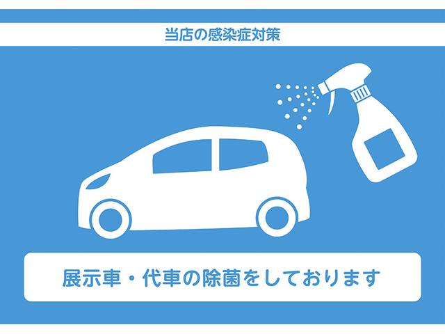 Gターボ /ワンオーナー車/ /スカイフィールトップ/電動パーキングブレーキ/(36枚目)