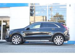 ������������������������Ϻ�Ĺ�����������������ǽ�Ǥ��� 5