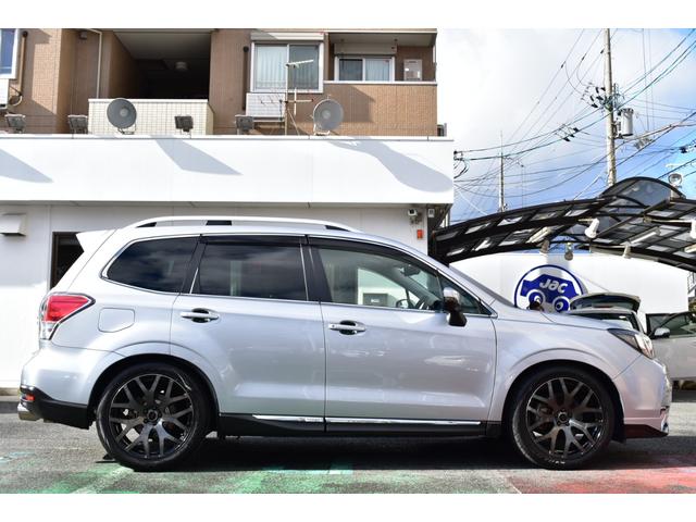 �t�H���X�^�[�̃{�f�B���C�������ꂢ�ɉf���o�����������̂���A�C�X�V���o�[�̃{�f�B�J���[�B�B�B������������Ƃ���A�ׂ��ȏ����x�������Ȃ����ꂢ�ȃR���f�B�V������ۂ��Ă���܂��B