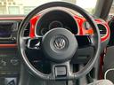 VOLKSWAGEN THE BEETLE