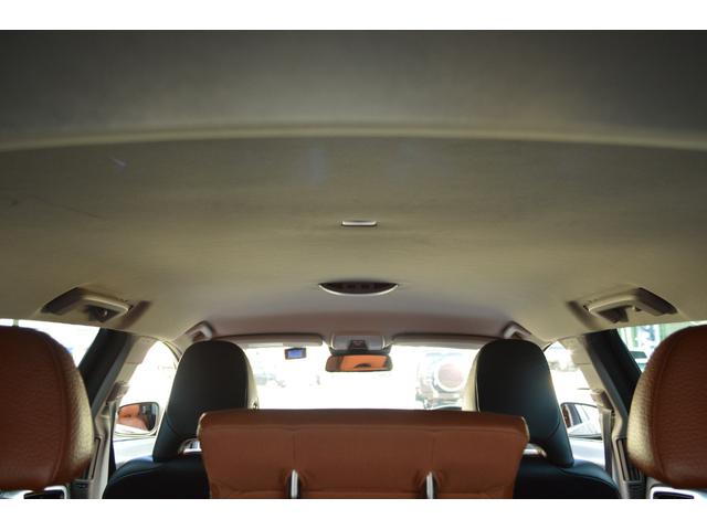 �V����ɖڗ��������݂≘��͂���܂���B