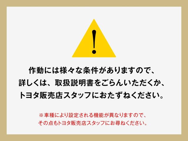 ハイブリッドG(36枚目)