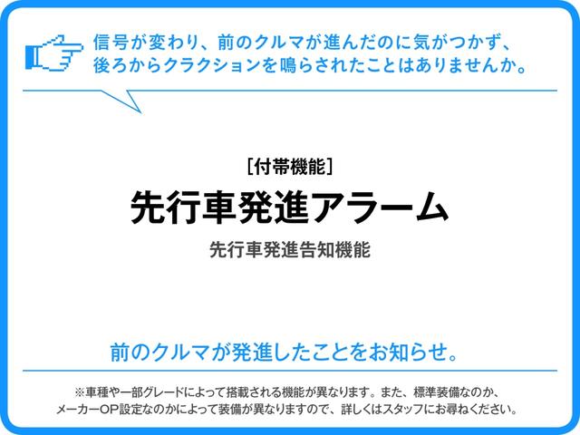 スタイルG SAII(31枚目)