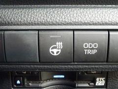 ƥ󥰥ҡդΥɥ饤֤⡢ΤҤ餫鲹Ƥޤ 5