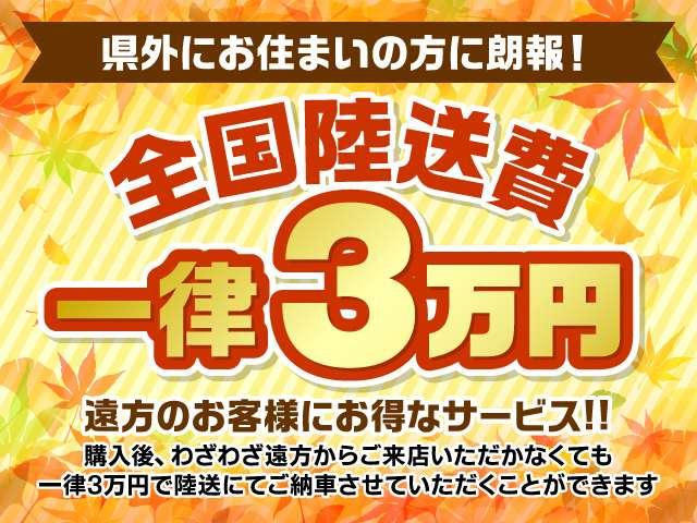 ハイウェイスターV後期エマブレアラビュープロパイロットLED(20枚目)