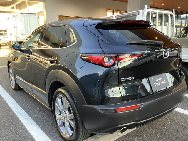 CX-30 20S Lパッケージ ジェットブラックマイカ バックガイドモニター ETC ドラレコ(12枚目)