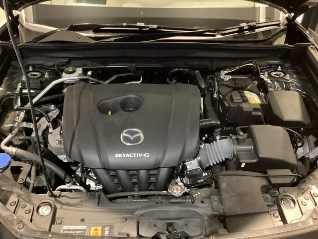 CX-30 20S Lパッケージ ジェットブラックマイカ バックガイドモニター ETC ドラレコ(18枚目)