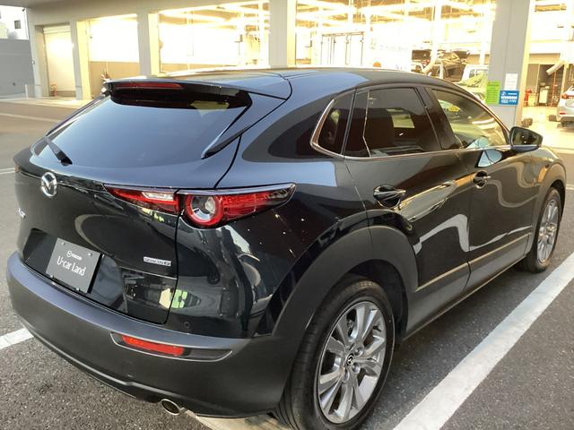 CX-30 20S Lパッケージ ジェットブラックマイカ バックガイドモニター ETC ドラレコ(20枚目)