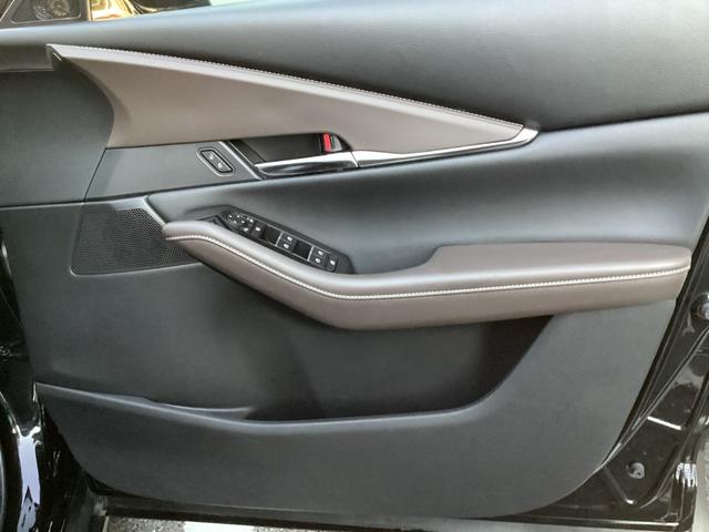 CX-30 20S Lパッケージ ジェットブラックマイカ バックガイドモニター ETC ドラレコ(21枚目)