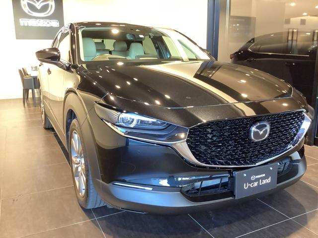 CX-30 20S Lパッケージ ジェットブラックマイカ バックガイドモニター ETC ドラレコ(30枚目)