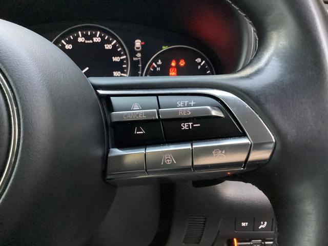 CX-30 20S Lパッケージ ジェットブラックマイカ バックガイドモニター ETC ドラレコ(32枚目)