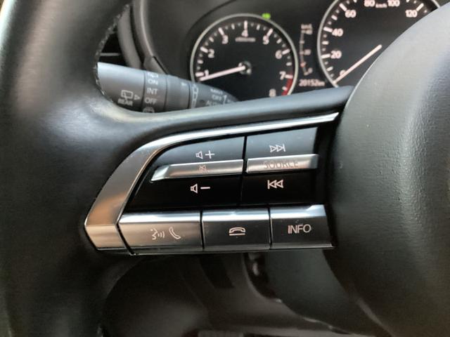 CX-30 20S Lパッケージ ジェットブラックマイカ バックガイドモニター ETC ドラレコ(34枚目)