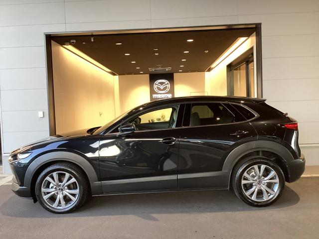 CX-30 20S Lパッケージ ジェットブラックマイカ バックガイドモニター ETC ドラレコ(35枚目)