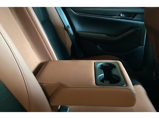 MAZDA3ファストバック 15S レトロスポーツエディション 試乗車並行販売 全方位カメラ フロアマット装備(22枚目)