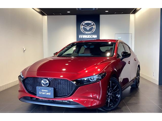 MAZDA3ファストバック 15S レトロスポーツエディション 試乗車並行販売 全方位カメラ フロアマット装備(25枚目)