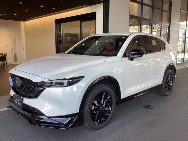 ＣＸ－５ ＸＤ　レトロスポーツエディション　試乗車並行販売　３６０°全方位カメラ　運転席電動シート　純正フロントアンダースポイラー・リアアンダースポイラー（18枚目）