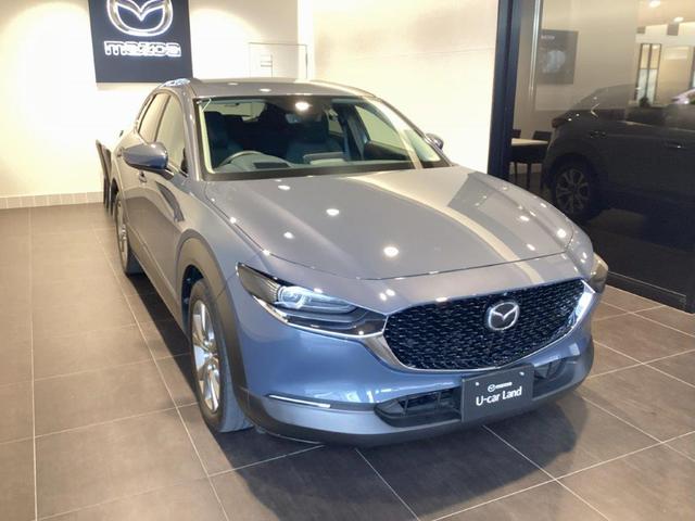 CX-30 XD プロアクティブ ツーリングセレクション 純正2カメラドラレコ ナビSD カープレイ対応 360度ビューモニター(2枚目)