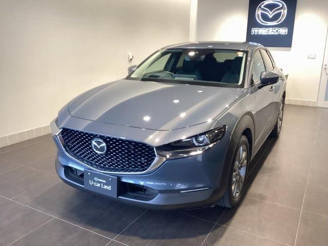 CX-30 XD プロアクティブ ツーリングセレクション 純正2カメラドラレコ ナビSD カープレイ対応 360度ビューモニター(3枚目)