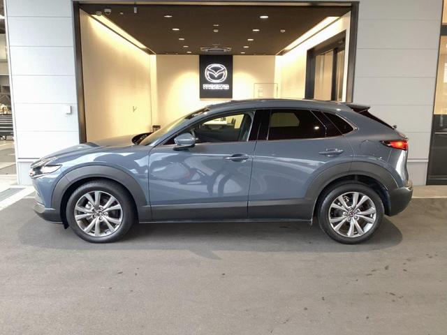 CX-30 XD プロアクティブ ツーリングセレクション 純正2カメラドラレコ ナビSD カープレイ対応 360度ビューモニター(7枚目)