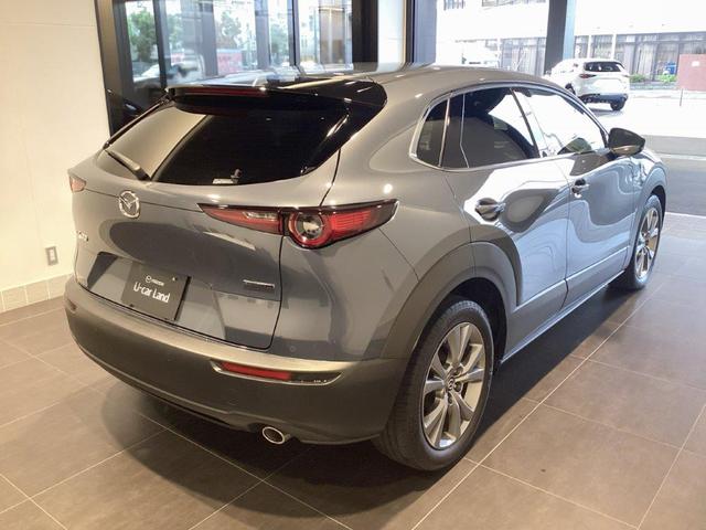 CX-30 XD プロアクティブ ツーリングセレクション 純正2カメラドラレコ ナビSD カープレイ対応 360度ビューモニター(8枚目)