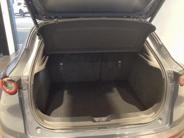 CX-30 XD プロアクティブ ツーリングセレクション 純正2カメラドラレコ ナビSD カープレイ対応 360度ビューモニター(10枚目)