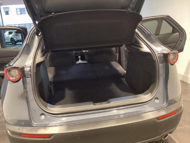 CX-30 XD プロアクティブ ツーリングセレクション 純正2カメラドラレコ ナビSD カープレイ対応 360度ビューモニター(22枚目)