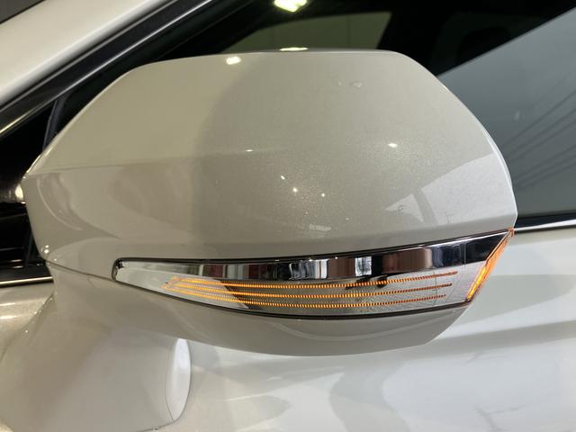 �T�����[�t�I�p�m���~�b�N�r���[���j�^�[�I�p�[�L���O�A�V�X�g�I�����r�c�i�r