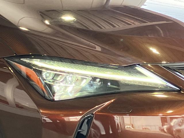 ＵＸ ＵＸ２５０ｈ　バージョンＬ　４ＷＤ・パノラミックビューモニター・純正ＳＤナビ・Ｂｌｕｅｔｏｏｔｈオーディオ・フルセグ・パワートランク・プリクラッシュセーフティー・レーンキープ・レーダークーズコントロール・ブラインドスポットモニタ（34枚目）