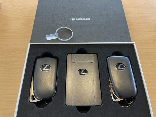 ＩＳ ＩＳ３５０　Ｆスポーツ　ＴＲＤエアロＦＳＲ・ＴＲＤマフラー・ＴＲＤリアスポイラー・サンルーフ・ブラインドスポットモニター・コーナーセンサー・レーダークルーズコントロール・レーンキープ・プリクラッシュセーフティー・赤本革シート（14枚目）