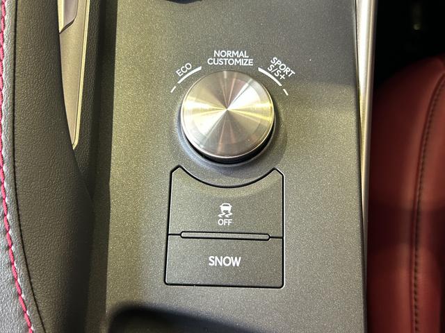 ＩＳ ＩＳ３５０　Ｆスポーツ　ＴＲＤエアロＦＳＲ・ＴＲＤマフラー・ＴＲＤリアスポイラー・サンルーフ・ブラインドスポットモニター・コーナーセンサー・レーダークルーズコントロール・レーンキープ・プリクラッシュセーフティー・赤本革シート（65枚目）