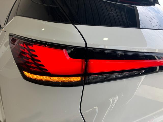 ＲＸ ＲＸ５００ｈ　Ｆスポーツパフォーマンス　ワンオーナー車・サンルーフ・オレンジブレーキキャリパー・パノラミックビューモニター・Ｂｌｕｅｔｏｏｔｈオーディオ・フルセグ・ナビ・パワートランク・デジタルインナーミラー・パーキングサポートブレーキ・（44枚目）