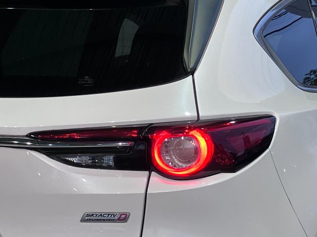 ＣＸ－８ ＸＤ　純正ＳＤナビ・Ｂｌｕｅｔｏｏｔｈオーディオ・フルセグ・バックカメラ・コーナーセンサー・レーダークルーズコントロール・シティーブレーキ・レーンキーピング・ブラインドスポットモニター・２０インチＡＷ・（45枚目）