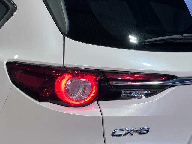 ＣＸ－８ ＸＤ　純正ＳＤナビ・Ｂｌｕｅｔｏｏｔｈオーディオ・フルセグ・バックカメラ・コーナーセンサー・レーダークルーズコントロール・シティーブレーキ・レーンキーピング・ブラインドスポットモニター・２０インチＡＷ・（46枚目）