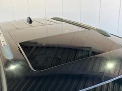 �����ס������ɥ��������� ��ߥƥåɡ�����롼�ա����ܳץ����ȡ������������ȡ������ȥҡ����� 0706782A30251107W004 3