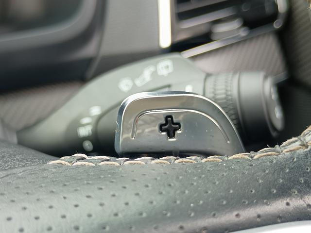 ＸＣ９０ Ｔ６　ＡＷＤ　Ｒデザイン　ポールスターパフォーマンス　パノラマルーフ　３６０度カメラ　パワーテールゲート　２１インチＷＯＲＫアルミ　前後ドラレコ　黒革＆シートヒーター　パドルシフト　ＬＥＤライト　ＥＴＣ　スマートキー２個（28枚目）