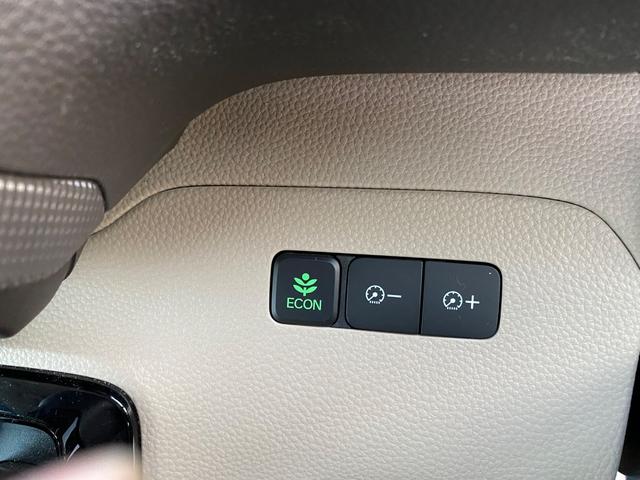 Ｎ－ＢＯＸ Ｇホンダセンシング　ディスプレイオーディオ・ワンセグＴＶ・リヤカメラ・プッシュスタート・インテリキー×２・ＥＴＣ・オートエアコン・ＬＥＤヘッドライト・ワンオーナー車・ホンダセンシング（37枚目）