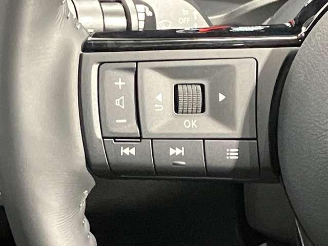 エクストレイル 1.5 G e-4ORCE 4WD 社用車アップ・メーカーOPナビ(12.3)・プロ(17枚目)