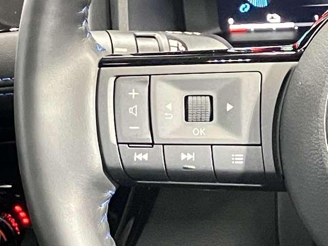 エクストレイル オーテック e-4ORCE アドバンスドパッケージ(24枚目)