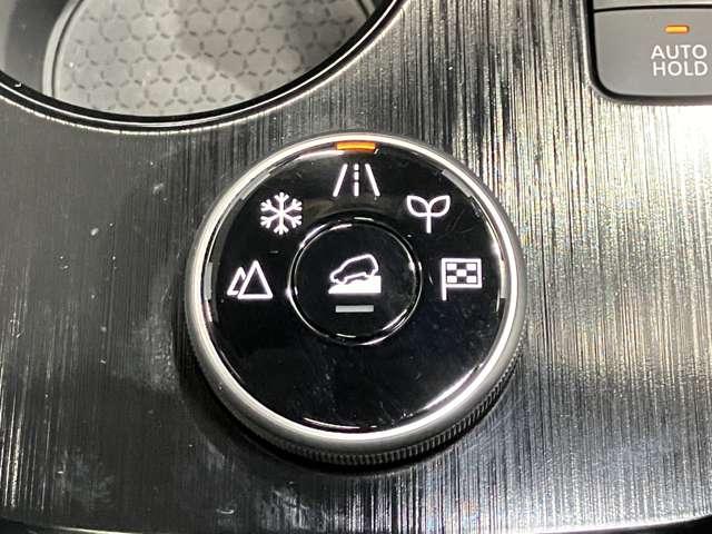 エクストレイル オーテック e-4ORCE アドバンスドパッケージ(33枚目)