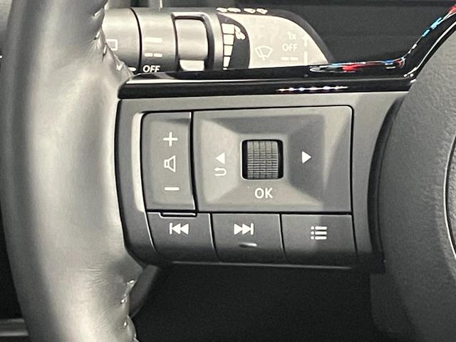 エクストレイル Ｇ　ｅ－４ＯＲＣＥ　１．５　Ｇ　ｅ－４ＯＲＣＥ　４ＷＤ　当社試乗車アップ・メーカーＯＰナビ・全席シートヒーター・ステアリングヒーター・プロパイロット・ＬＥＤヘッドランプ・ＬＥＤフォグランプ・全周囲カメラ・オートバックドア（34枚目）