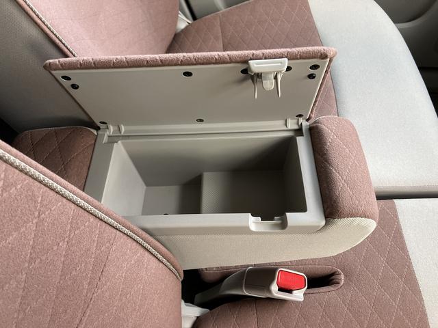 アルトラパン Ｘ　５型　当社展示車アップ車両（39枚目）