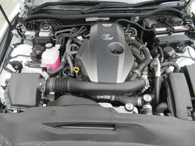 IS300 Fスポーツ ムーンルーフ 本革(21枚目)