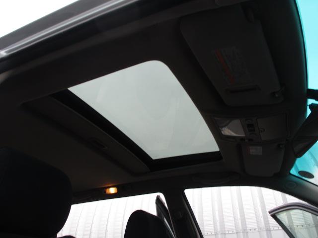 �T�����[�t�t��