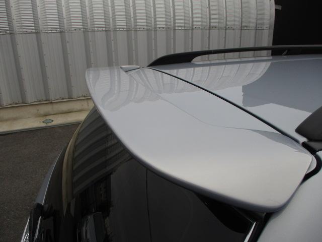 ���A�X�|�C���[�̓h�������v�ł�