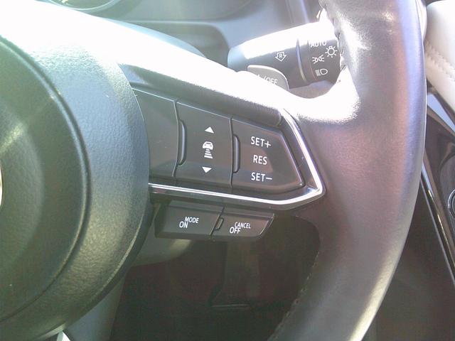 MAZDA2 15S 100周年特別記念車 衝突被害軽減ブレーキ ナビ/テレビ/CD/DVD USB/ブルートゥース 360度カメラ ETC レーダークルーズコントロール ハーフレザーシート シートヒータ ブラインドスポットモニタ 全国1年保証(22枚目)