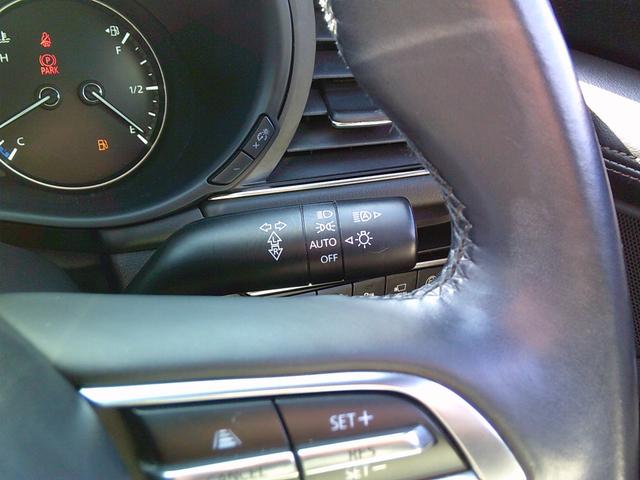 ＭＡＺＤＡ３ファストバック １５Ｓツーリング　スマートブレーキサポート　ＳＤナビ　地デジ／ＣＤ／ＤＶＤ／ＢＴ／ＵＳＢ／ＨＤＭＩ　３６０度モニター　ＥＴＣ　前後ドライブレコーダー　レーダークルーズコントロール　ドライバモニタリング　全国１年保証（19枚目）