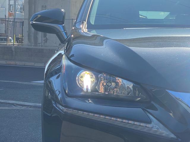 ＮＸ ＮＸ３００ｈ　プリクラッシュ　メーカーナビ　バックカメラ　ＥＴＣ　プッシュスタート　スマートキー　ＬＥＤヘッドライト　パワーシート　パワーバックドア　ステアリングリモコン　レーダークルーズコントロール　全国１年保証（11枚目）